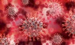 Projeto vai levar o turismo para as salas de aula