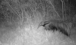 Ufrgs divulga primeira chamada para vagas remanescentes do vestibular