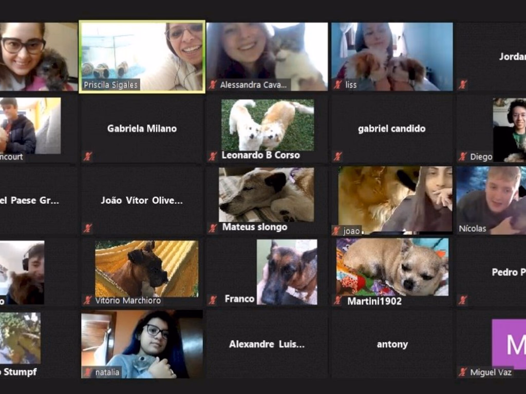 Senac proporciona momento com presença de pets em aula on-line