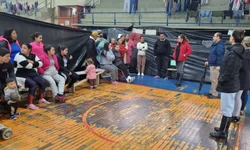 Estado propõe articulação de ações pela preservação da fauna