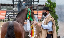 Charles do Bronx vence Chandler e é campeão dos leves