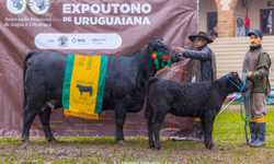 Seapi divulga calendário oficial de feiras agropecuárias de 2026