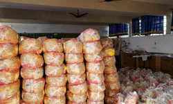 Cerca de 3,5 mil alunos da 10ª CRE foram contemplados com alimentos