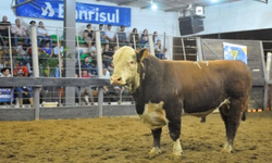 Seapa suspende multa para quem perdeu prazo de vacinação