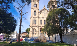 Semas prepara novo mutirão de castrações