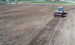 Painel projeta futuro do agronegócio brasileiro no pós-pandemia