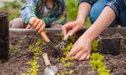 Lançada licitação para construção do pórtico de entrada