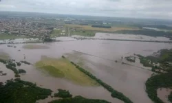 Prorrogado prazo para inscrição no programa de Sementes Forrageiras de inverno e verão