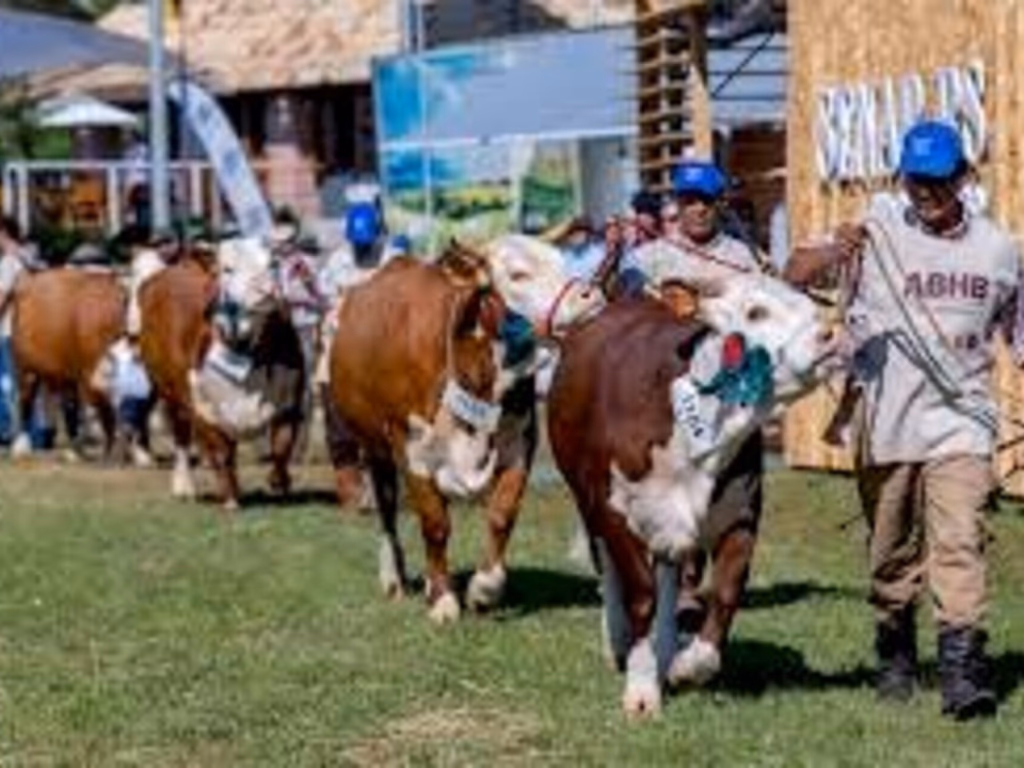Governo lança nesta quarta a 44ª edição da Expointer
