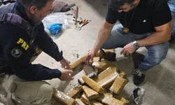 Polícia Civil prende casal por tráfico de drogas