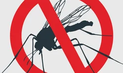 Uruguaiana aguarda novos profissionais pelo programa