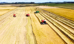 Sicredi Essência anuncia R$ 250 milhões para o Plano Safra