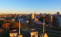 Após dois anos sem vacinação, RS comemora abertura de novos mercados