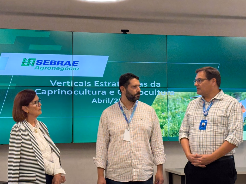 Entidades debatem estratégias para fomento da ovinocultura