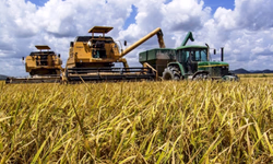 Cinco fatos sobre a escassez de mão de obra rural