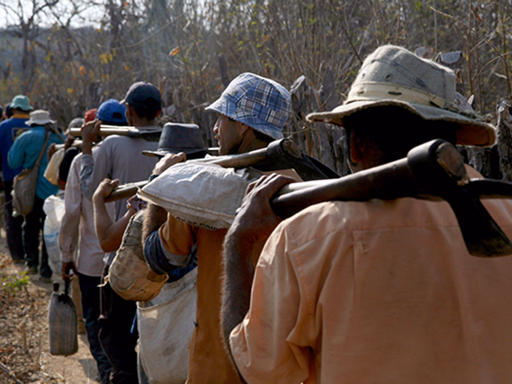 Denúncias de trabalho escravo batem recorde