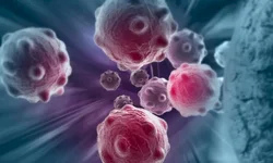 Santa Casa recebe R$ 530 mil do RS