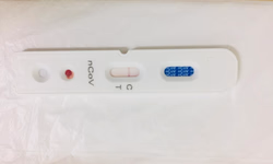 Feira da Comunidade será retomada neste domingo