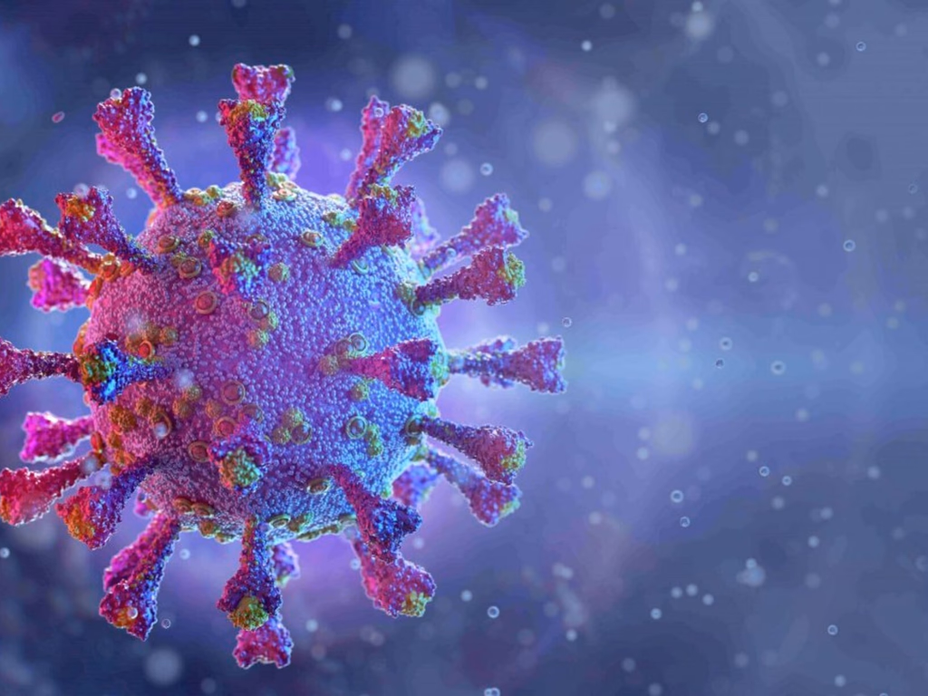 Município tem 14 827 casos e 411 mortes por covid-19