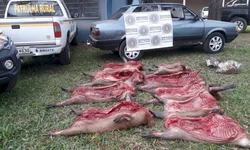 Brigada apreende dez capivaras em carro abandonado