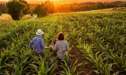 Banco de Sangue está com estoque crítico