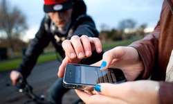 Estudantes do ensino fundamental visitam Colégio Agrícola