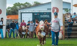 ABHB anuncia mudanças no regulamento das exposições