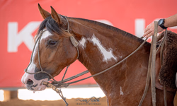 Califórnia define seus primeiros finalistas
