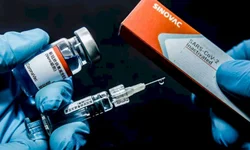 Não haverá vacinação em massa, diz presidente da Fiocruz