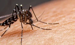 RS revogou decreto de calamidade por conta da pandemia