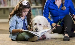 Bolsonaro anuncia auxílio para caminhoneiros autônomos