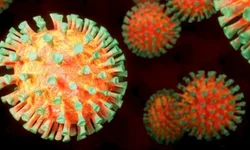 Tarifa de ônibus intermunicipal aumenta 7%