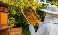 Concurso Nacional Unificado é adiado