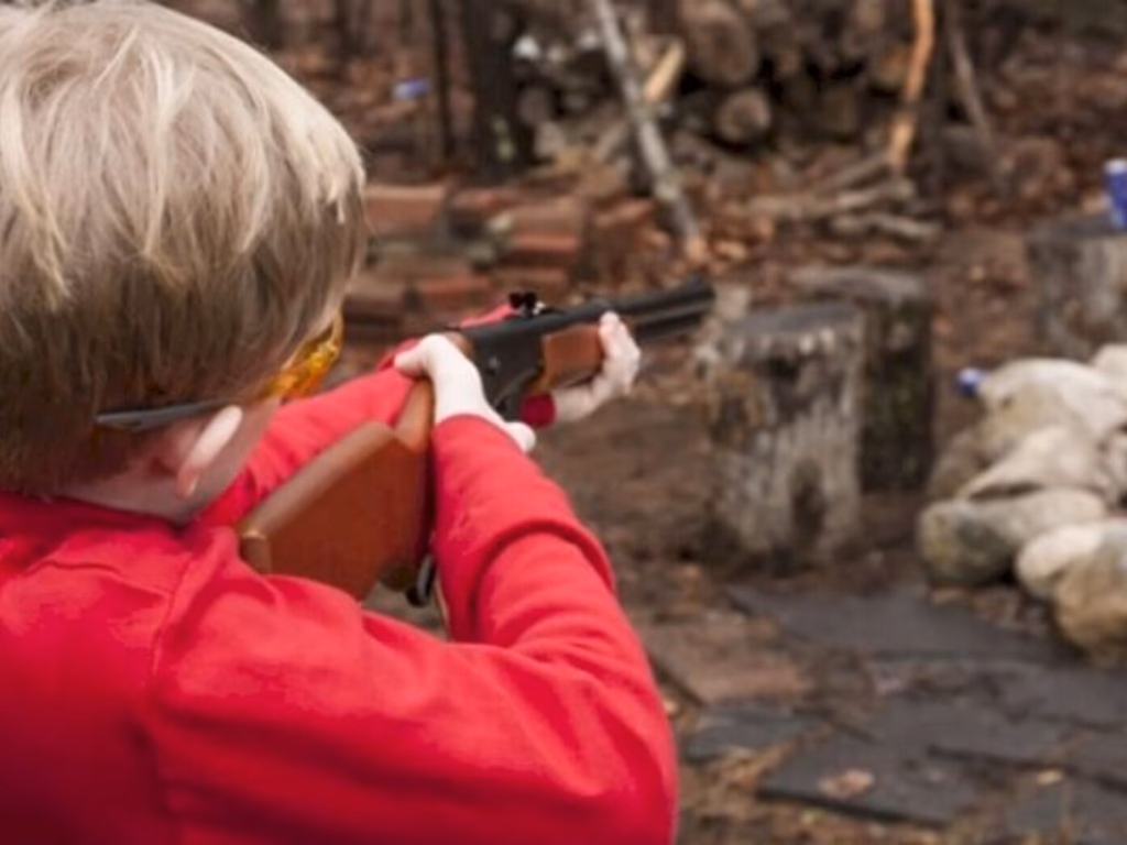 Criança de cinco anos atira acidentalmente em outra durante caça