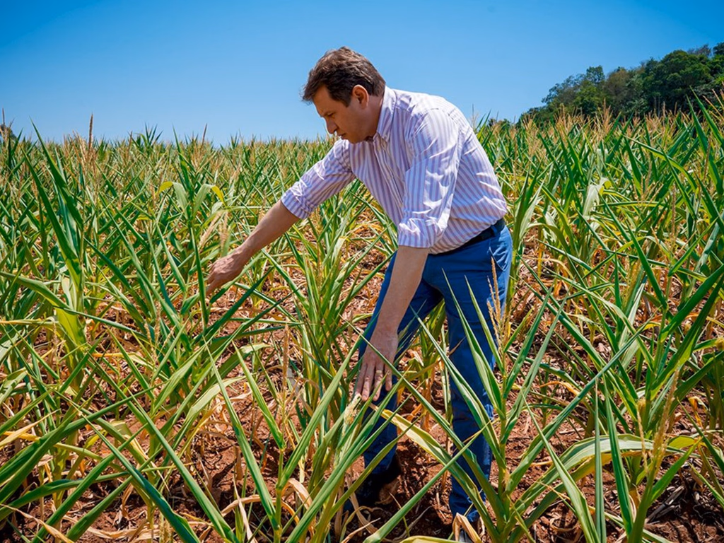 Polo vai sugerir desoneração para incentivar irrigação de lavouras