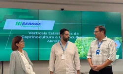 Federação debate crise do arroz com governo federal