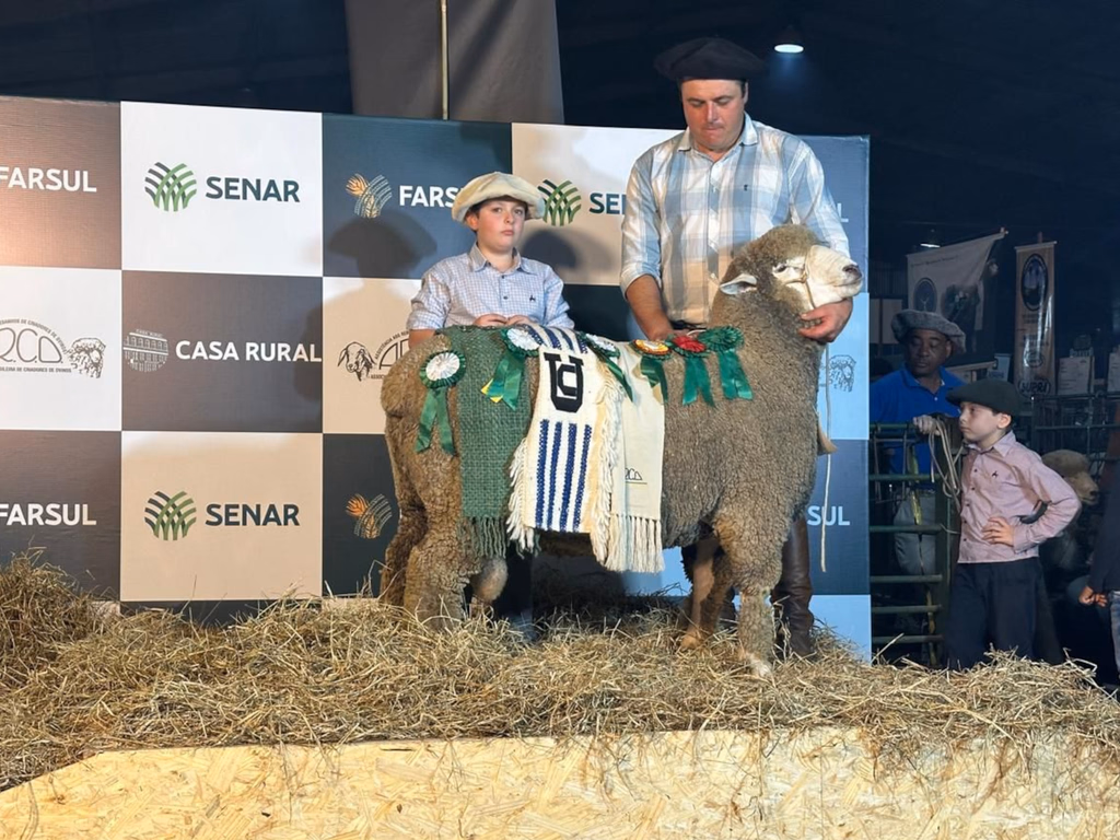 Expointer 2025 teve quase R$ 1 milhão na comercialização de ovinos