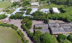 PRF prende homem por tráfico de drogas na BR-290