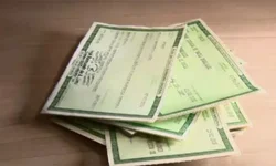 Município chega a 30 casos de dengue