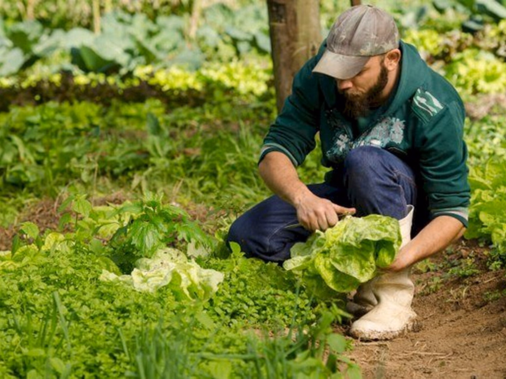 Segunda edição da Escola Virtual de Inverno