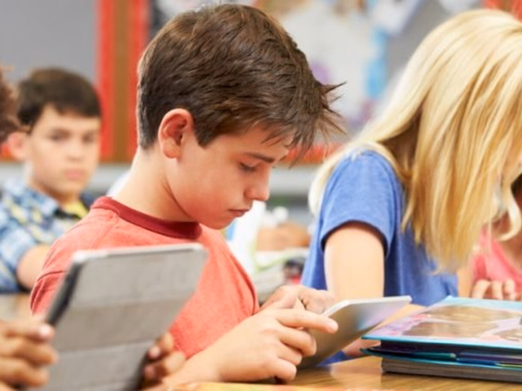 Webinário marca lançamento do Programa Brasil na Escola