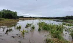Fetag-RS lança aplicativo para mapear perdas
