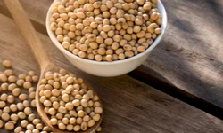 Anvisa aprova vacina bivalente contra covid-19