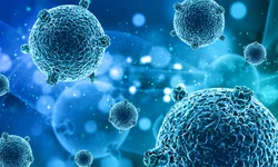 Doenças infecciosas estão reaparecendo