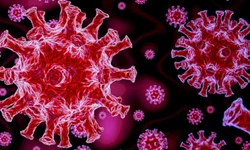 Semana Gerações realiza atividades culturais no município