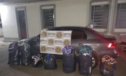 Redução de crimes patrimoniais atinge novos recordes