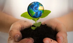 Uruguaiana integrou pesquisa que mapeou a Aids no Estado