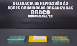 Polícia Civil prende homem por tráfico de drogas