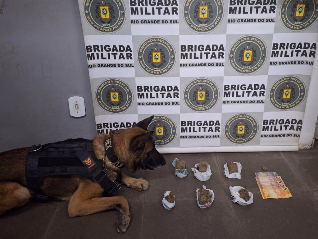 Carnaval Fora de Época foi de tranquilidade na segurança