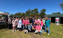 Indicadores da dengue seguem estáveis em dezembro